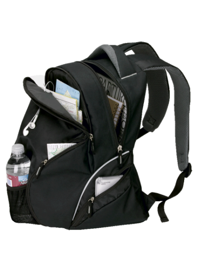 Executive Backpack
