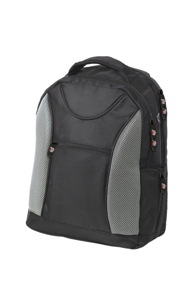Biz Laptop Backpack