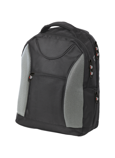 Biz Laptop Backpack